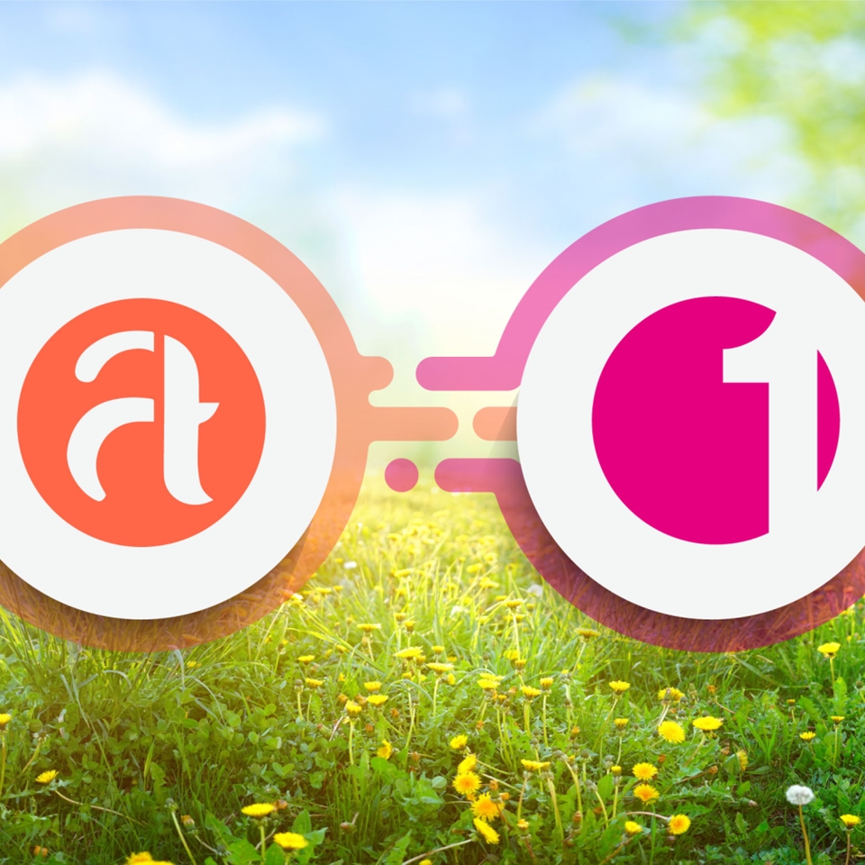 Duurzaam aan de slag met werk dat écht past